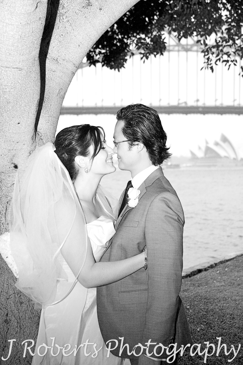 Bride and groom about to kiss - wedding photography sydney